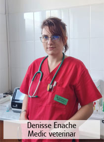 Medic veterinar Denisse Enache