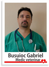 Busuioc Gabriel medic veterinar