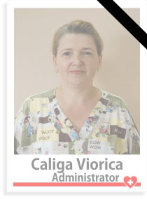 Caliga Viorica administrator