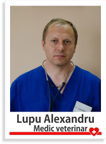 Lupu Alexandru medic veterinar